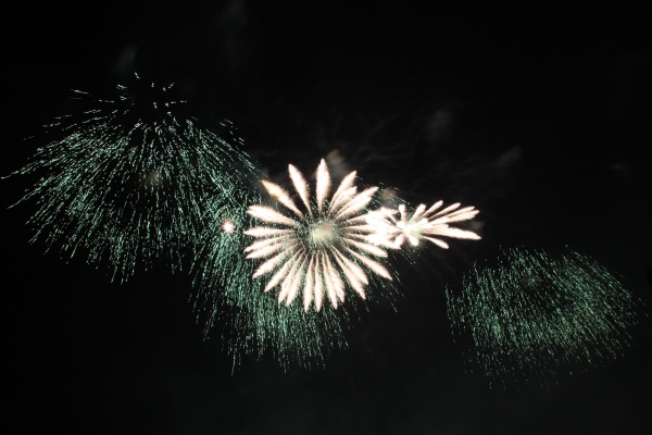 Feuerwerk Frankreich II   097.jpg